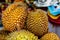 King of fruits, durian. Group of fresh durians in the asian market
