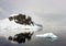 King George island, mountains, snow and an iceberg