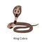 King Kobra snake color flat icon