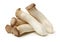 King oyster mushroom Pleurotus eryngii