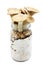 King oyster mushrooms growing up on a glasses container, homemade fungiculture, isolated