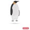 King penguin color flat icon