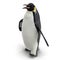 King penguin isolated on white. 3D illustration