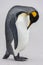 King Penguin - Volunteer Point - Falkland Islands