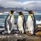 King penguins (Aptenodytes patagonicus)  Made With Generative AI illustration