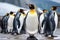 King penguins Aptenodytes patagonicus standing on a rock, Group of king penguins in the zoo. Wildlife scene from nature, AI