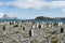 King penguins at the beach in beautiful landscape of South Georgia