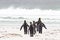 King Penguins go for fishing