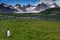 King Penguins on Salisbury plains