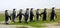 King Penguins walking in a line