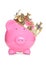 King piggy bank