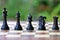 King, queen, bishop, knight and rook - chess pieces on a wooden board