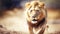 The King of the Savanna: A Majestic Old Lion Amidst the Golden Grass. Generative AI