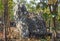 King Seat Stone or Rock at Phayao Attractions Northern Thailand Travel Back