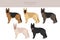 King Shepherd. Variety of German shepherd dog.  clipart. Different coat colors set