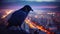 The King of the Skies: A Crow\\\'s Eye View of the City. Generative AI