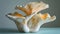 King trumpet mushroom pleurotus eryngii on delicate soft pastel colored background