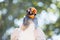 King Vulture Concentrated