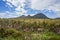 King William Saddle Lookout on Lyell Highway, Tasmania, Australia