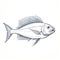 Kingfish Line Drawing: Silver And Blue Art Of Tonga