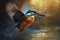 Kingfisher Alcedo atthis in flight. A Kingfisher catching a fish and flying, AI Generated
