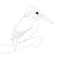 Kingfisher bird isolated outline