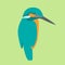 Kingfisher bird vector illustration style Flat