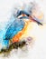 Kingfisher bird with water effect