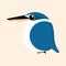 Kingfisher cartoon vector, Collared kingfisher cartoon vector.