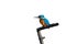 A Kingfisher, Common Kingfisher. Cutout.
