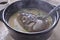 Kingfisher Fish soup