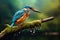 Kingfisher sitting on a branch with water drops on it, Common Kingfisher Alcedo atthis perched on a branch, AI Generated