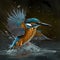 Kingfishers At Rainforest. Generative AI