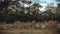 The Kings Men Stone Circle