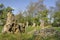 The Kings Men Stone Circle