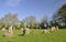 The Kings Men Stone Circle