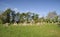 The Kings Men Stone Circle