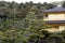 Kinkaku-ji (The Golden Pavilion)