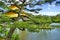 Kinkaku-ji golden temple, Kyoto