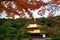 Kinkakuji in autumn