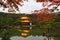 Kinkakuji - the famous Golden Pavilion at Kyoto