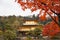 Kinkakuji temple, the goldern pavilion, Kyoto, Japan