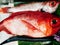 Kinmedai or Red Alfonsino or Beryx fresh fish for Japanese sushi