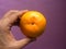 Kinnow orange fruit