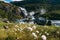 Kinsarvik, Hordaland, Norway. Norwegian Landscape With Mountains Cotton Grass, Cotton-grass Or Cottonsedge Eriophorum
