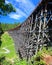 Kinsol Trestle Bridge near Shawnigan Lake on Vancouver Island, British Columbia