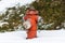 Kirchberg in Tirol, Tirol/Austria - March 26 2019: Upper part of a fire hydrant in red using shallow depth of field