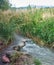 Kirghizia villages , irrigation ditch