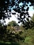 Kirkham Priory from across the Derwent, Yorkshire