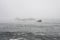 Kirkjufjara beach - foggy rock formations with bird